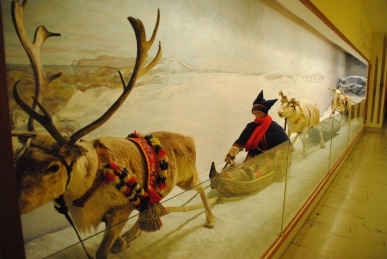 Tromsø Museum
